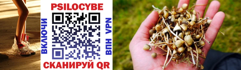 Галлюциногенные грибы Psilocybe  Купить где  Яранск 